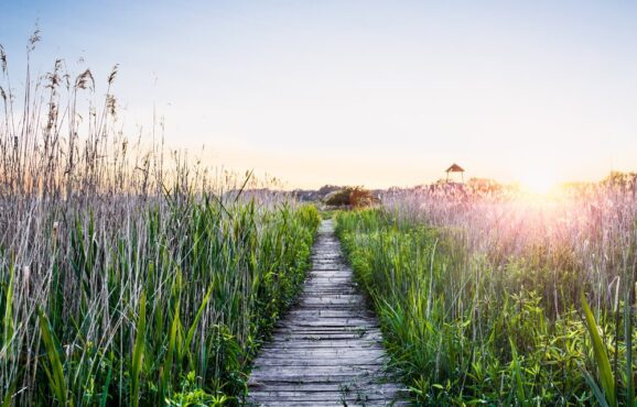 beispielbilder_natur_4