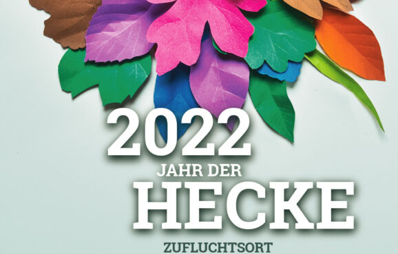 facebook-2022-DE-