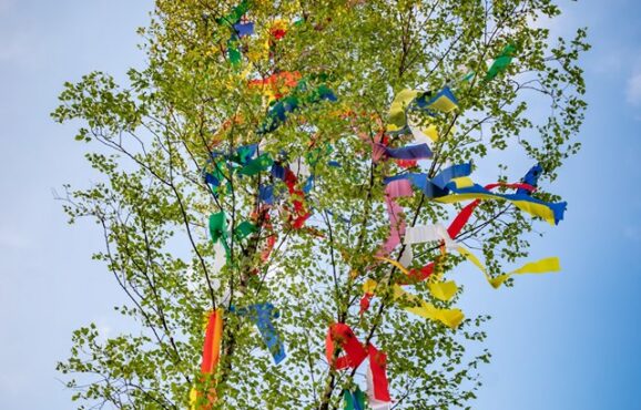 Maibaum