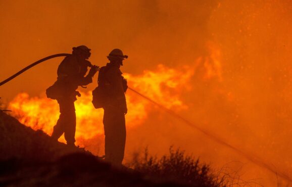 waldbrand